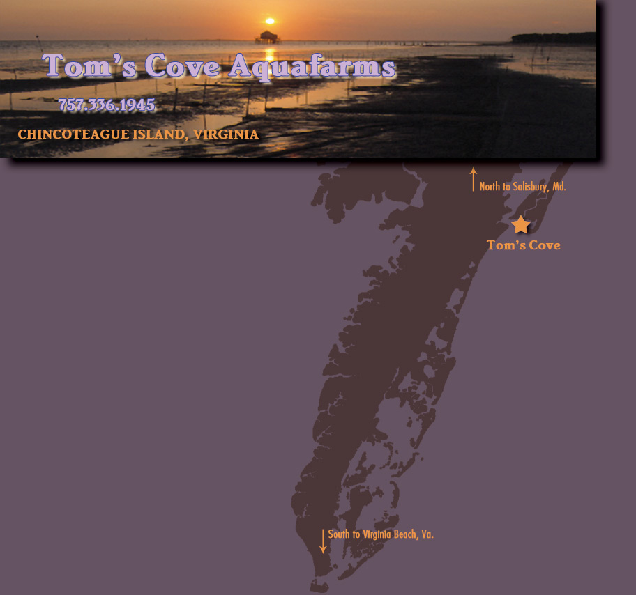 Image of Sunset and Map of the Eastern Shore VA